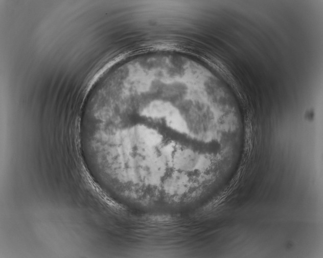 X0000115490798200912041014