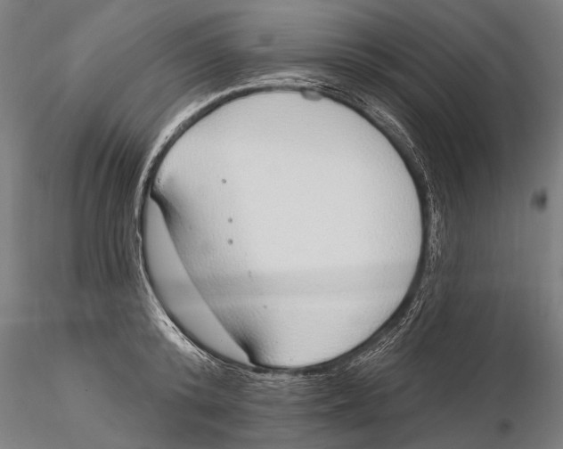 X0000115490800200912041014