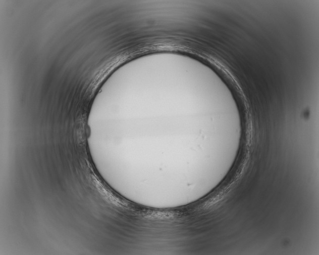 X0000115490801200912041014