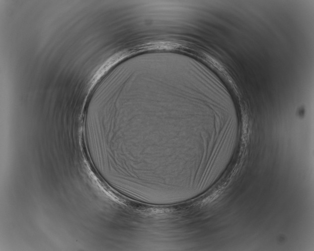 X0000115490802200912041014