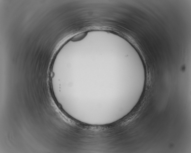 X0000115490803200912041014