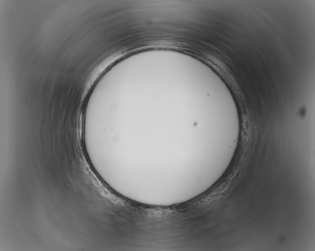 X0000115490804200912041014