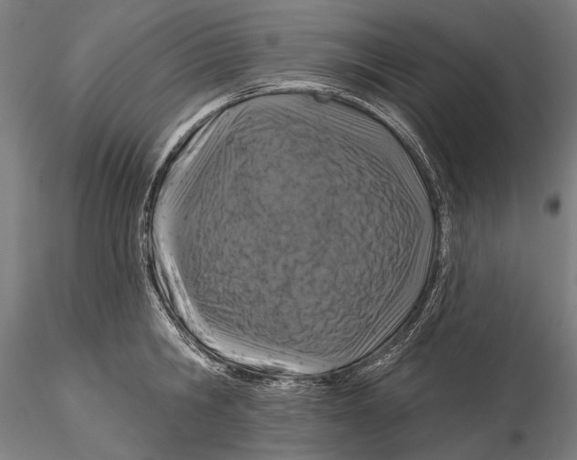 X0000115490806200912041014