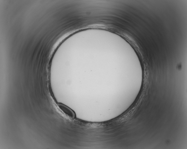 X0000115490808200912041014