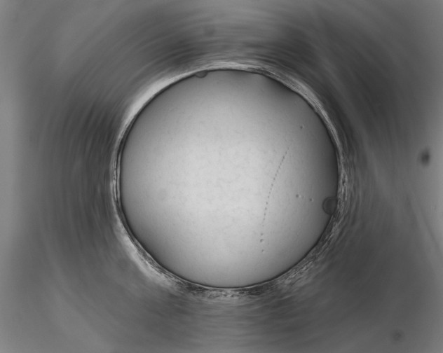 X0000115490811200912041014