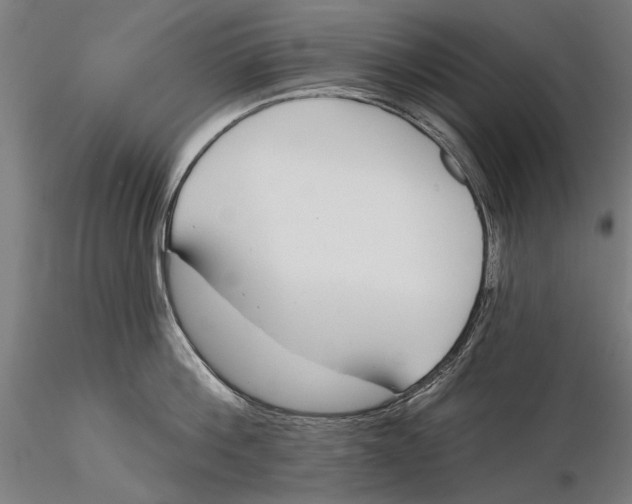 X0000115490812200912041014