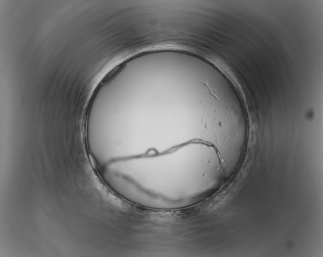 X0000115490813200912041014