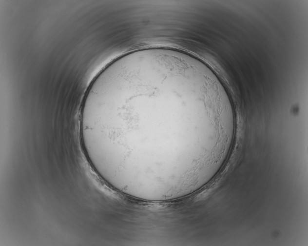 X0000115490814200912041014