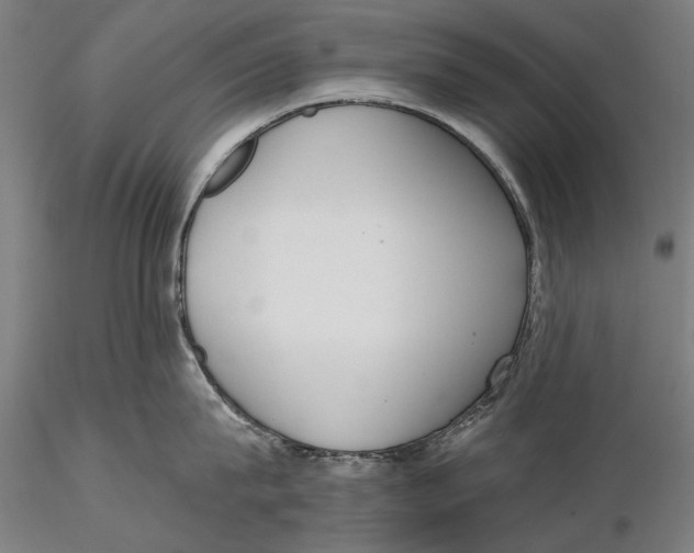 X0000115490815200912041014