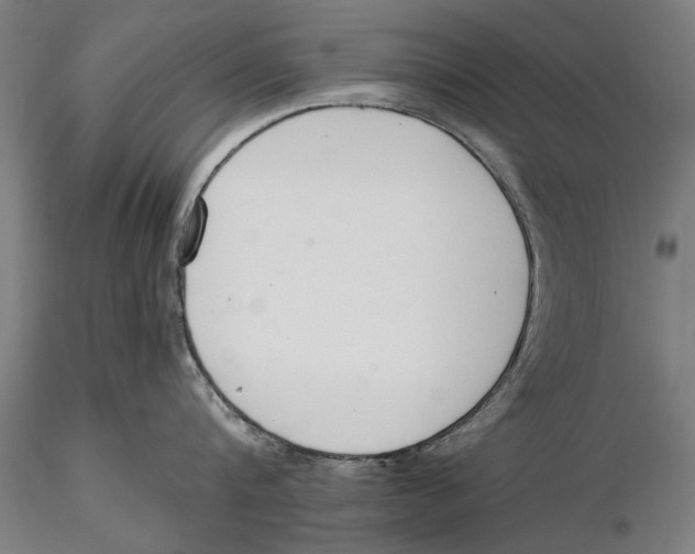 X0000115490816200912041014