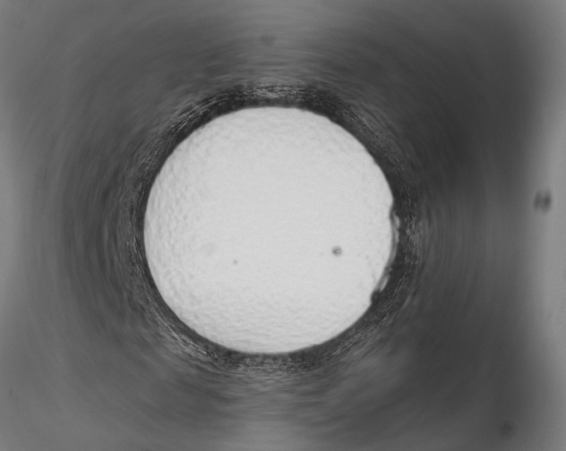 X0000115490817200912041013