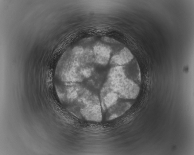 X0000115490818200912041013