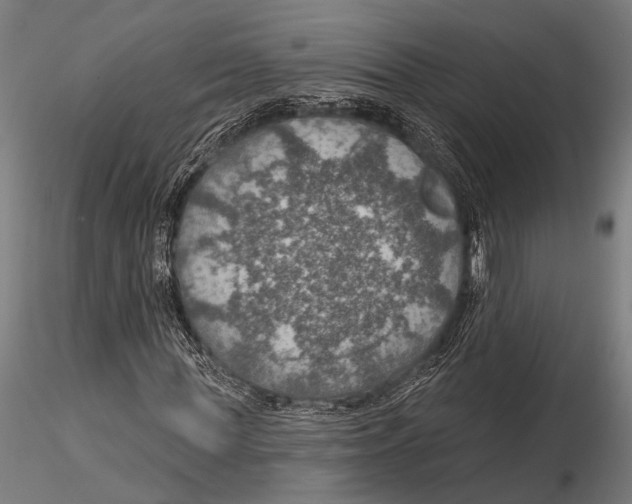 X0000115490819200912041013