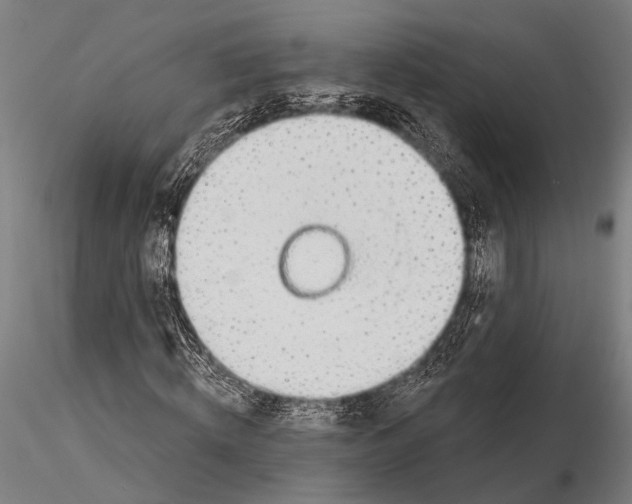 X0000115490820200912041013