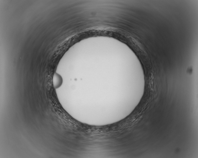 X0000115490821200912041013