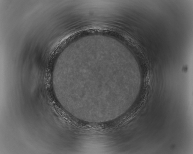X0000115490822200912041013