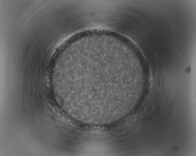 X0000115490823200912041013