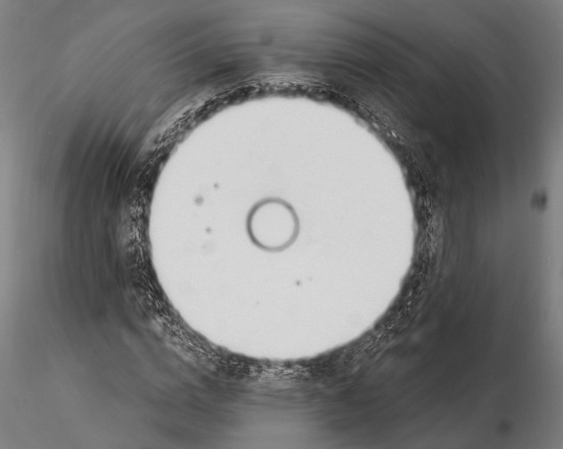 X0000115490824200912041013