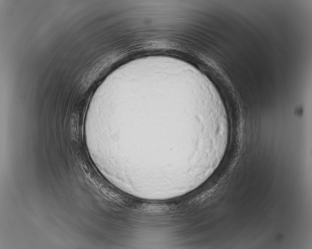 X0000115490825200912041013