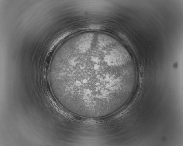 X0000115490827200912041013