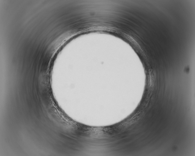 X0000115490828200912041013
