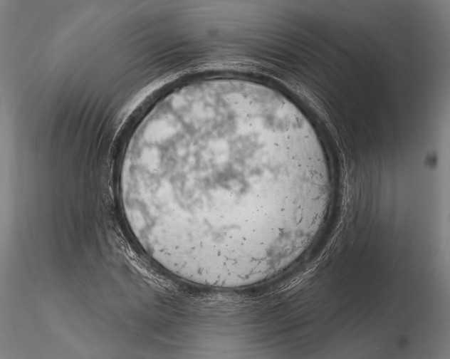 X0000115490830200912041013