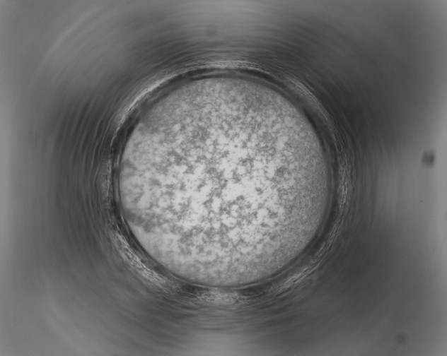 X0000115490831200912041013
