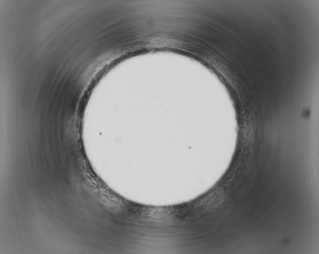 X0000115490832200912041013