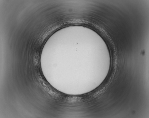 X0000115490833200912041013