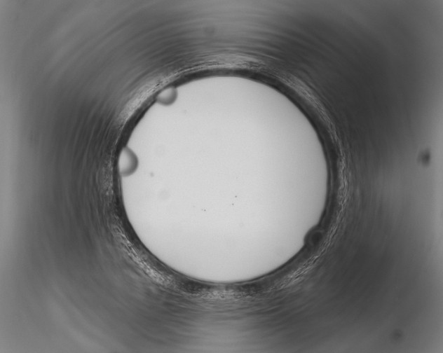 X0000115490834200912041013