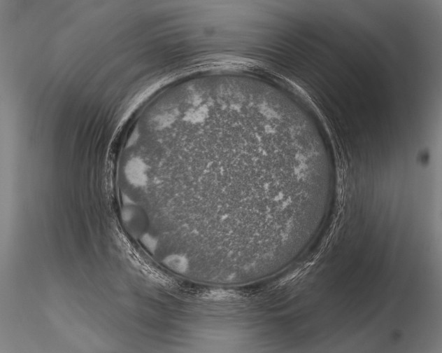 X0000115490835200912041013