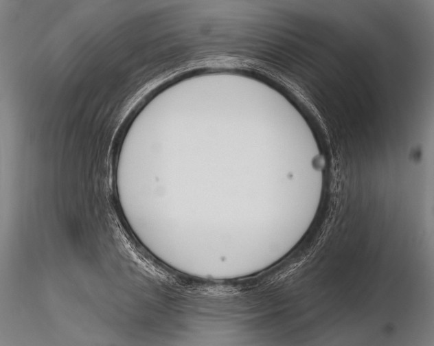 X0000115490837200912041013
