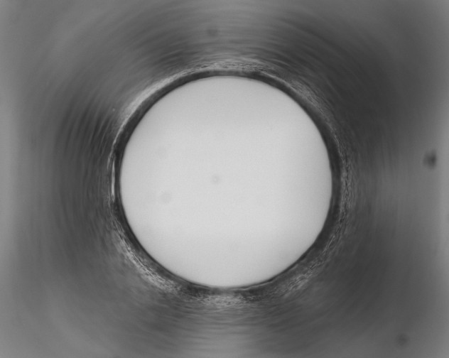 X0000115490838200912041013