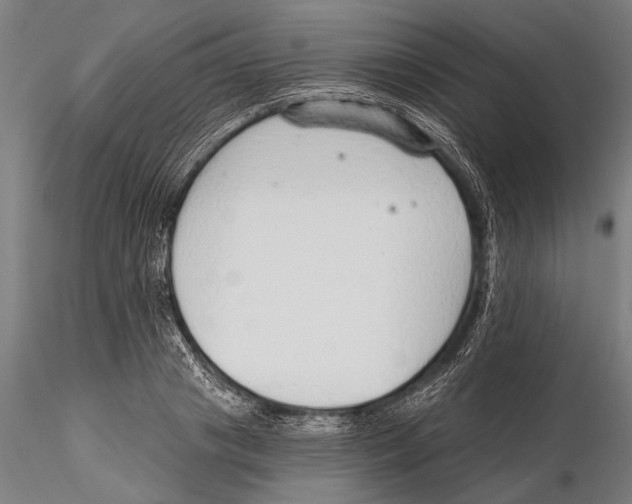 X0000115490841200912041013