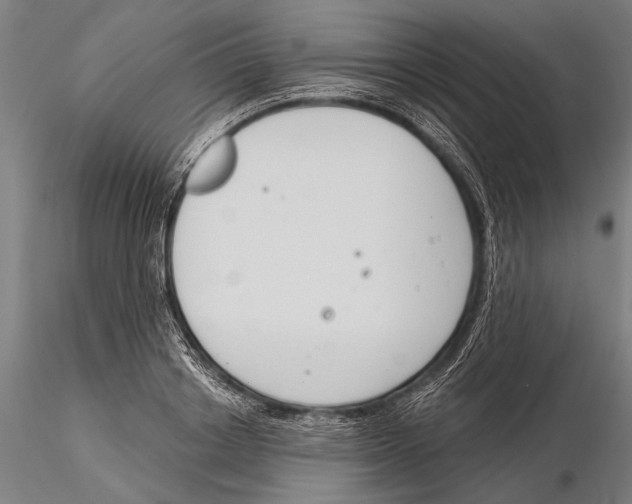X0000115490842200912041013
