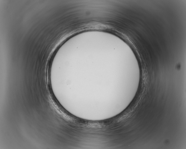 X0000115490843200912041013