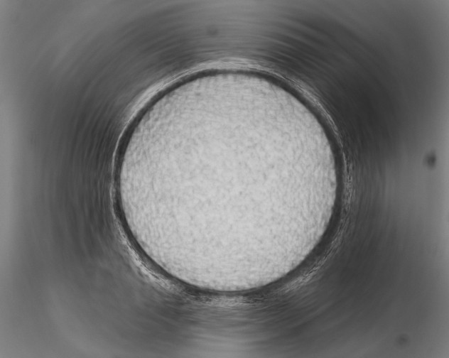 X0000115490845200912041013
