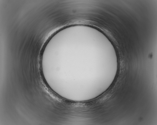 X0000115490846200912041013