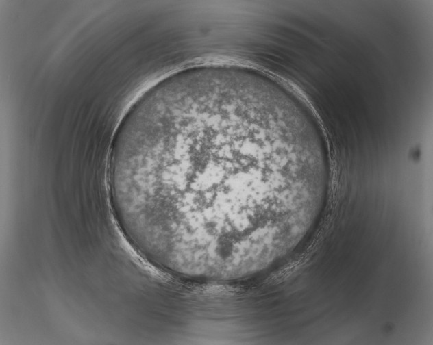 X0000115490847200912041014