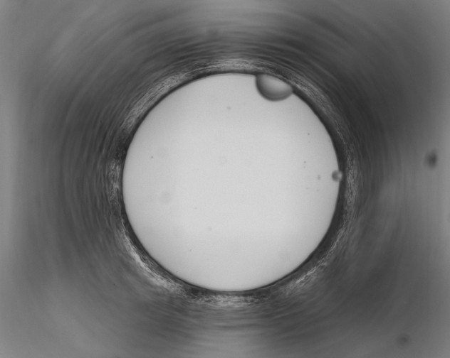 X0000115490849200912041014