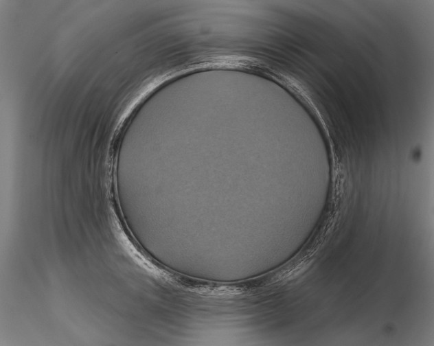 X0000115490851200912041014