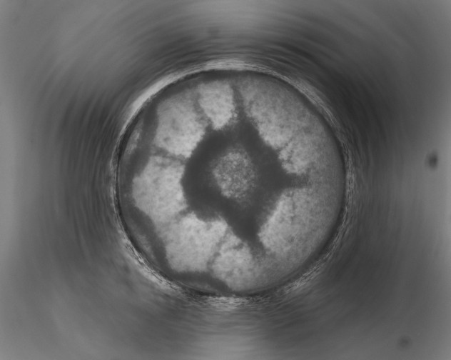 X0000115490854200912041014