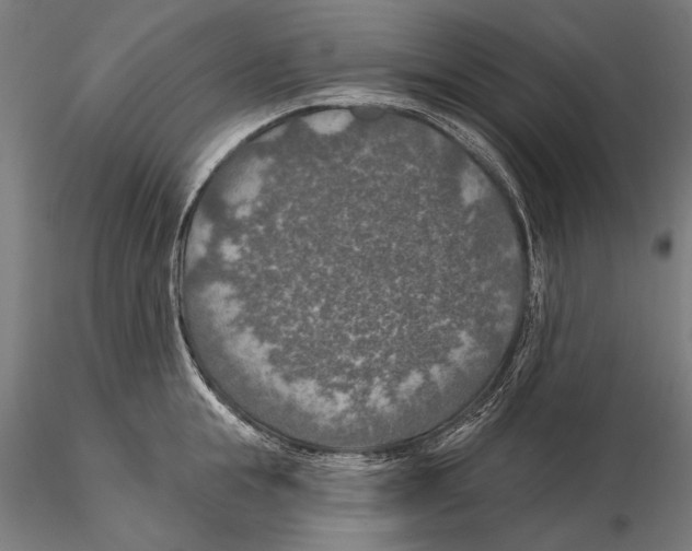 X0000115490855200912041014