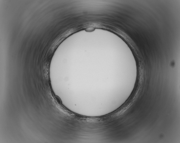 X0000115490857200912041014