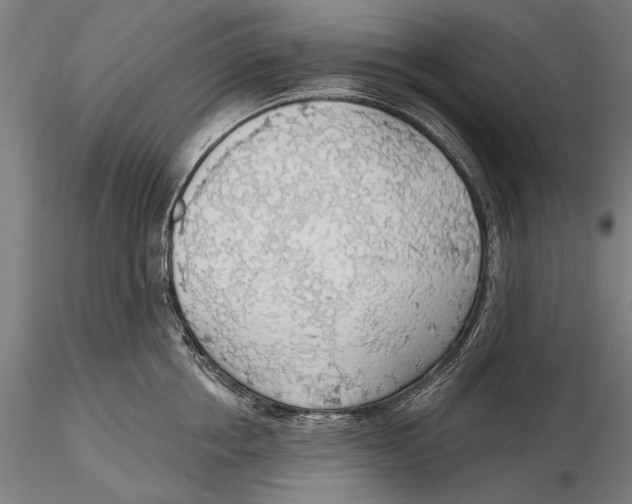 X0000115490858200912041014