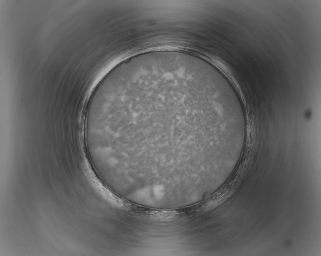 X0000115490859200912041014