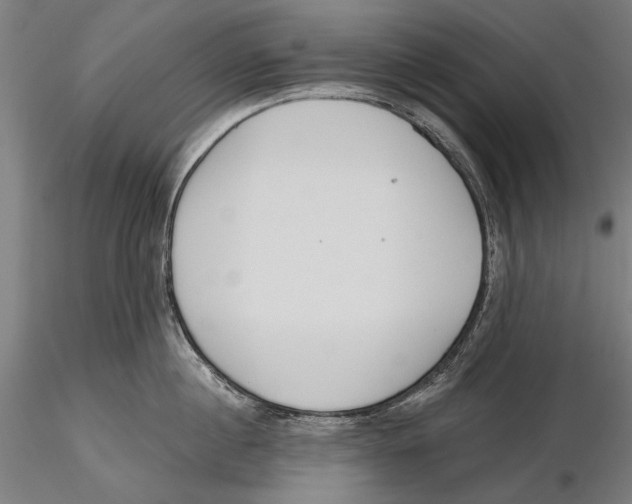 X0000115490860200912041014