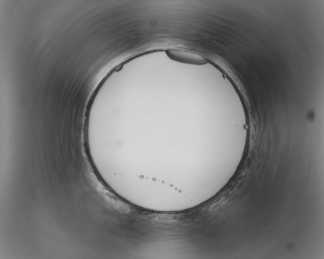 X0000115490861200912041014