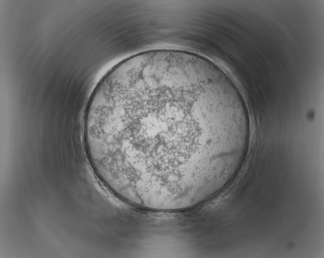 X0000115490862200912041014