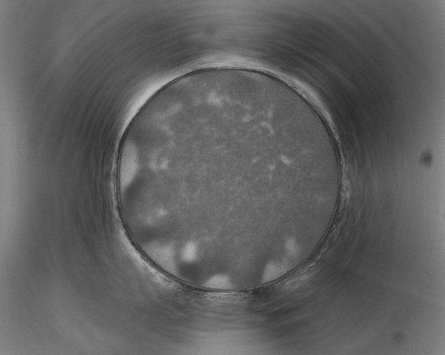 X0000115490863200912041014